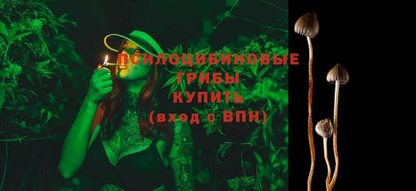 прущий лед Белоозёрский