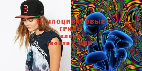 прущая мука Верея