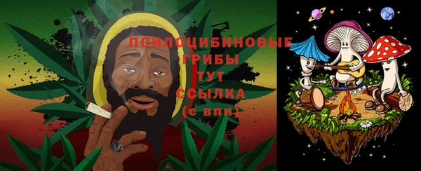 марки lsd Бородино