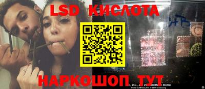 прущие грибы Волгодонск