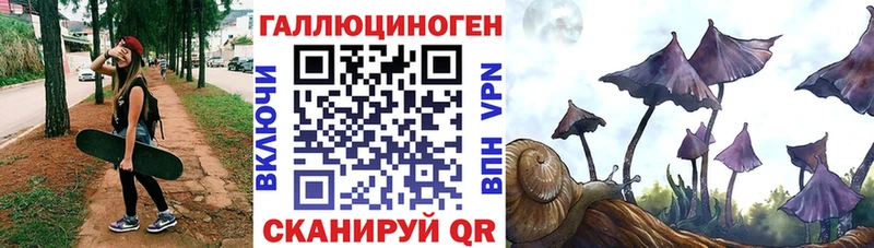 купить   Горно-Алтайск  мега ONION  Галлюциногенные грибы прущие грибы 