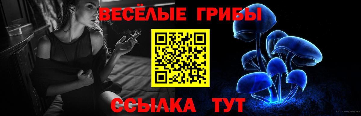 Псилоцибиновые грибы прущие грибы  Вход с VPN  закладки  Горно-Алтайск 
